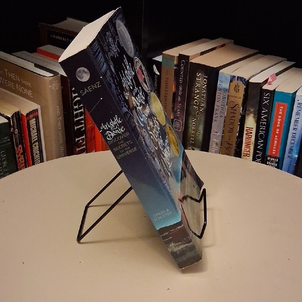 Aristotle and Dante Discover the Secrets of the Universe By Benjamin Alire Saenz - Picture 3 of 3